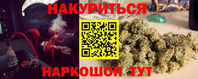 индика Жуковский