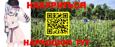 индика Жуковский