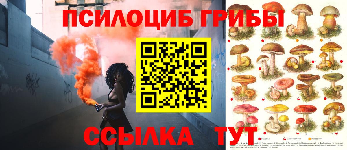 Галлюциногенные грибы Magic Shrooms Волоколамск